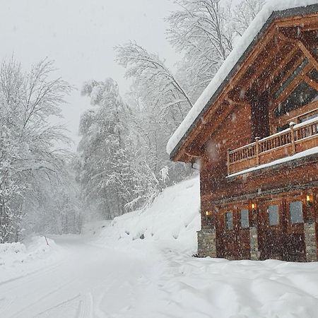 Chalet Entier 110M2 Avec Vue Et Sauna A 10 Min Des Pistes Sainte-Foy-Tarentaise Dış mekan fotoğraf